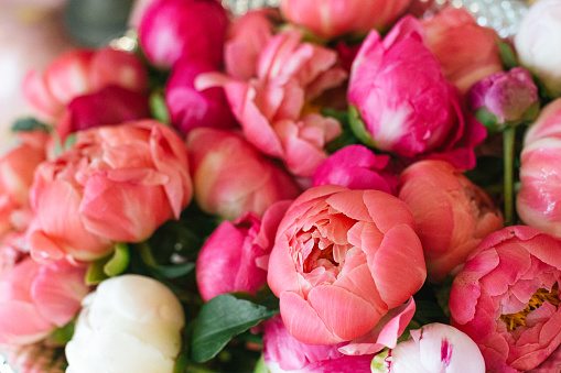 Pile of pink peony flowers